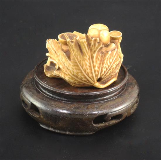A Japanese ivory netsuke of a skeleton, early 20th century, signed Sei..? 3.3cm, wood stand